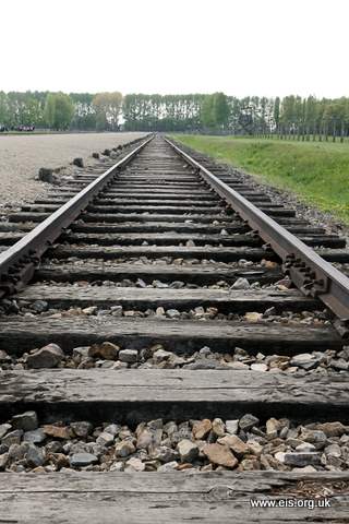 Auschwitz tracks